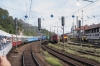 1539_6.jpg