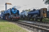 1550_18.jpg