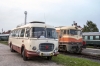 1551_19.jpg