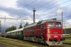 1888__MG_3390.jpg