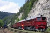1895__MG_3508.jpg