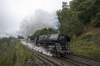 2107_IMG_8375.jpg
